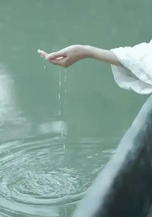 云淡风轻|留白|花开花落|光影|风衣_网易订阅