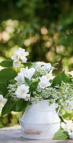 人物明星 植物多肉 生活百科 搞笑萌宠 人文艺术 设计 古风 壁纸 旅行