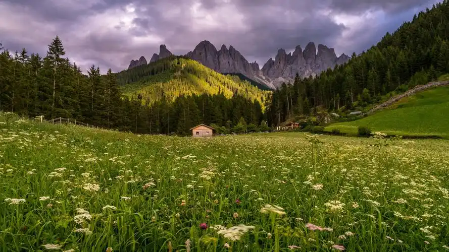 壁纸,3840x2160,草甸,草,丘,大自然,下载,照片