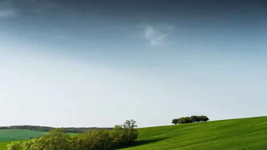 高清绿色草地护眼桌面壁纸