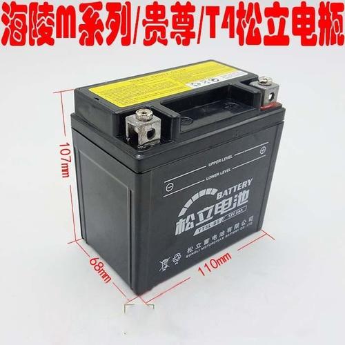 极盗者 猎豹 华洋老款t4  mx6 m8 m7 m4 越野车摩托车电瓶 电池