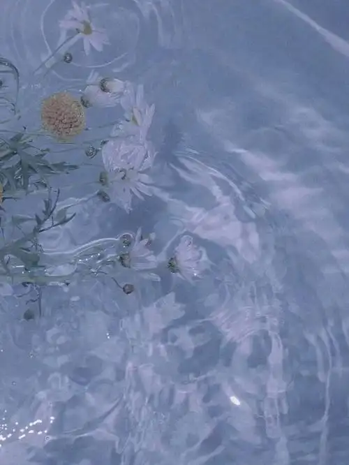 小清新壁纸推荐