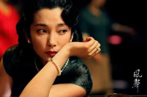 李冰冰年龄之谜(李冰冰惊艳的照片全部)(6)