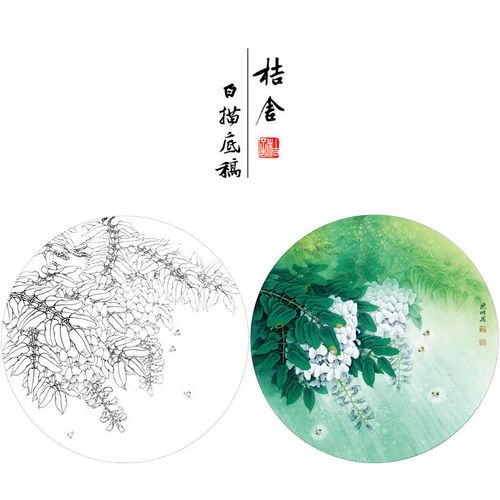 李晓明工笔画白描稿紫藤花圆形小品带步骤图用色说明花鸟线稿kb04
