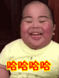 搞笑:哈哈哈哈表情包