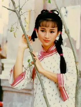 太平天国演员表,全部演员表,演员人物介绍_电视剧_电视猫