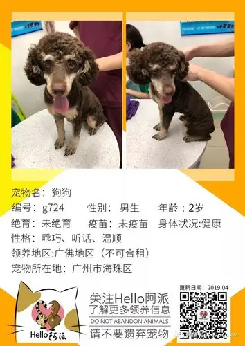 第161期线上领养日晚点遇见你余生都是你