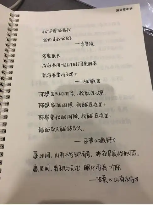 小学生的奶酪字体正流行,工整清晰又可爱,老师:看着就想扣分!