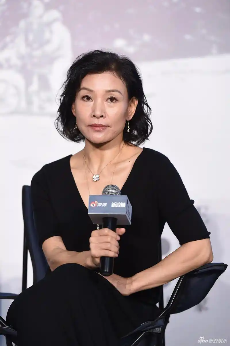 组图:陈冲黑色长裙韵味十足 以女性视角谈电影人生