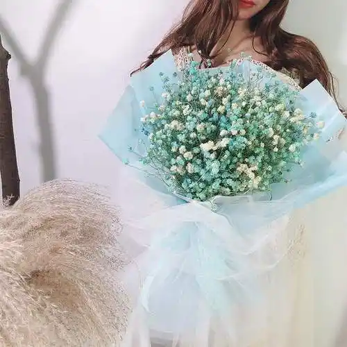 创意礼物泡泡纱干花花满天星手捧花束礼盒闺蜜干花