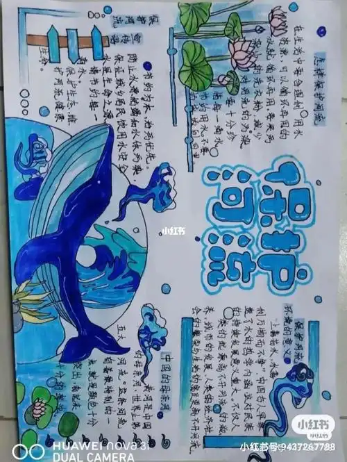 水生态手抄报