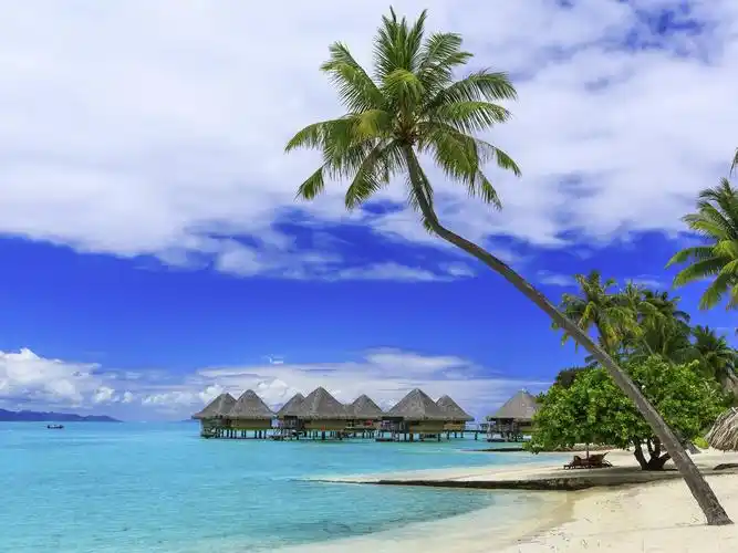 棕榈树,热带夏天,天堂,海滩,海,度假村 桌布 | 2560x1920 桌布下载 |