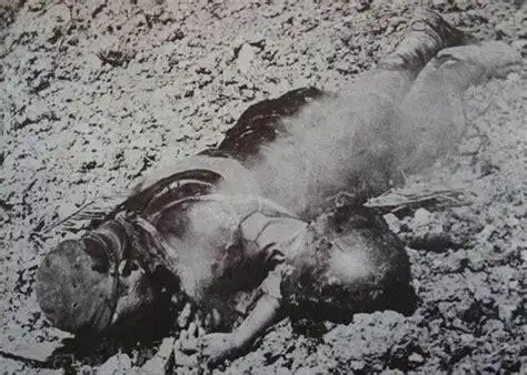 尸横遍野图片女兵战死尸横遍野图片2022已更新今日图集