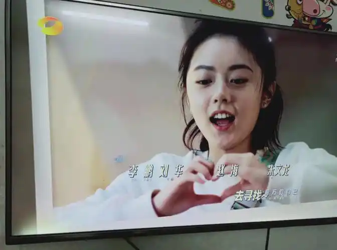 今天看电视的时候无意中打开湖南卫视,然后就看见少年派2开播啦,等了