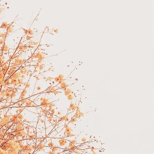 小清新 背景图 壁纸 朋友圈