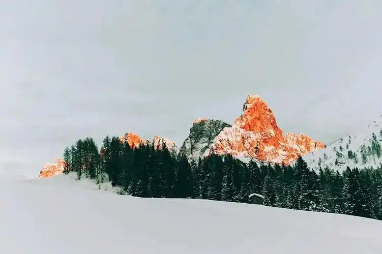 高清壁纸  #神仙壁纸  #每日壁纸  #壁纸分享  #壁纸分享  #治愈系