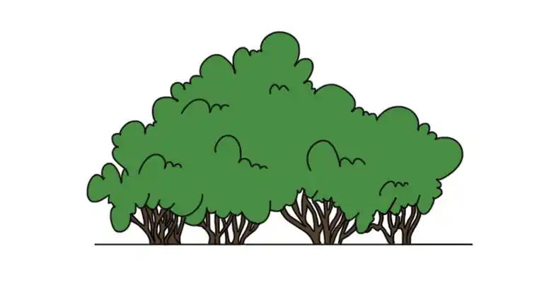 灌木简笔画怎么画