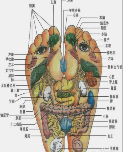 脚底穴道位置图