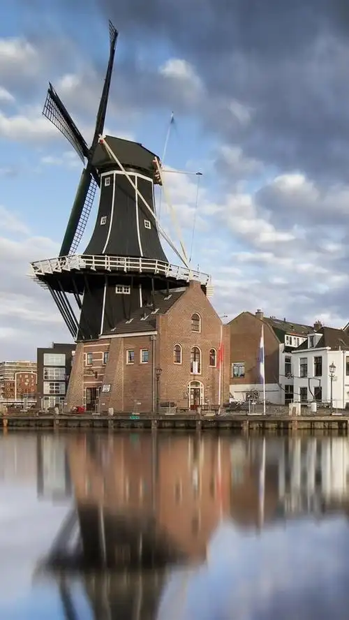 哈勒姆,荷兰,风车,房屋,城市,河流