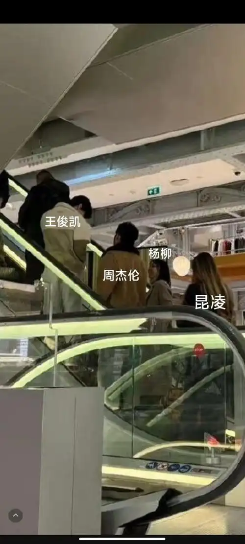 王俊凯之前去巴黎还带着杨柳去 还和周董夫妇一起 两对情侣一起逛街买