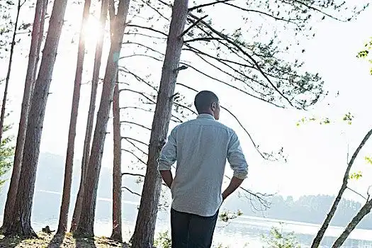 湖岸,一个,男人,站立,松树