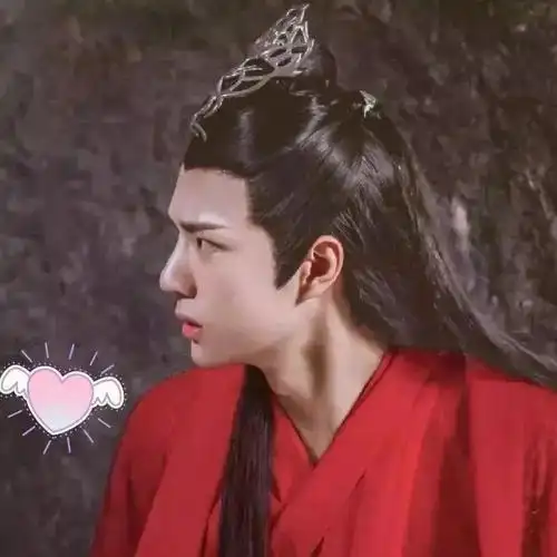 肖战王一博情头