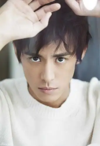 陈楚河个人档案