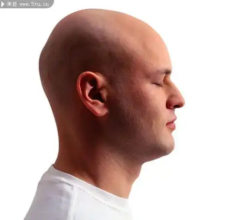 光头头像男 - 搜狗图片搜索