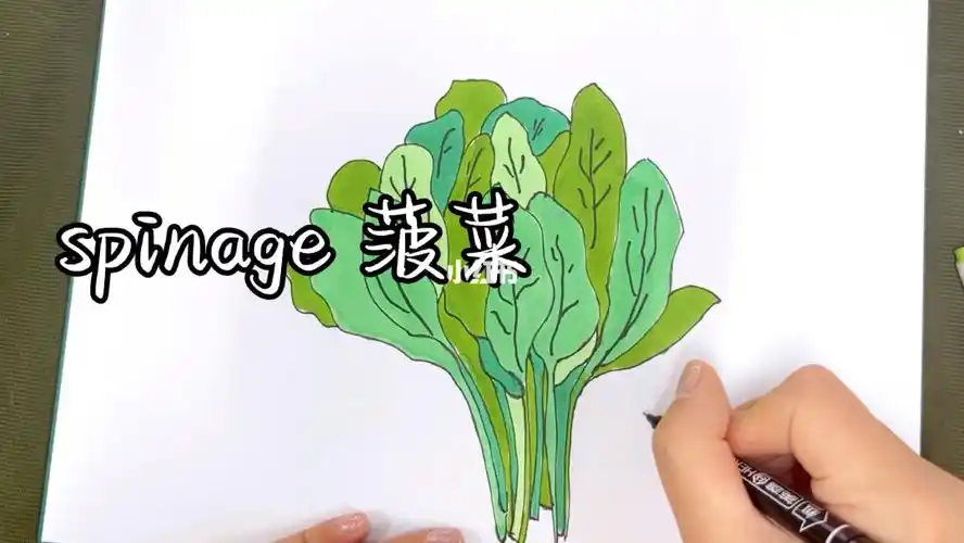 原来菠菜还可以这么画快收藏起来