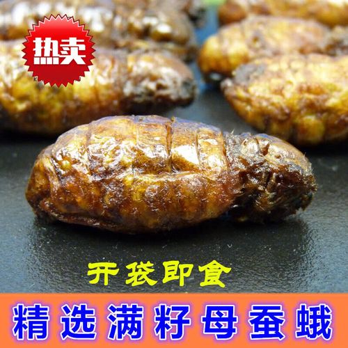 lzjv蚕蛾炸虫子食用昆虫宴好吃解压满籽营养母蚕蛾即食大蛾子 30只