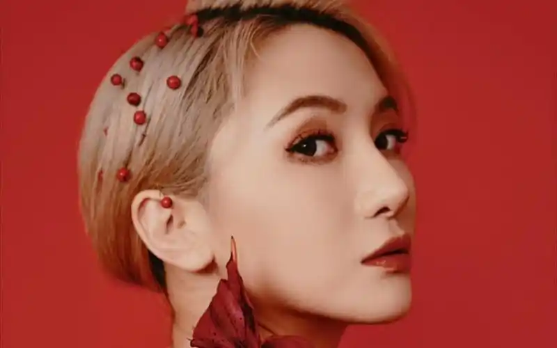 偶像要不要经常直播?来看陆婷给你上课