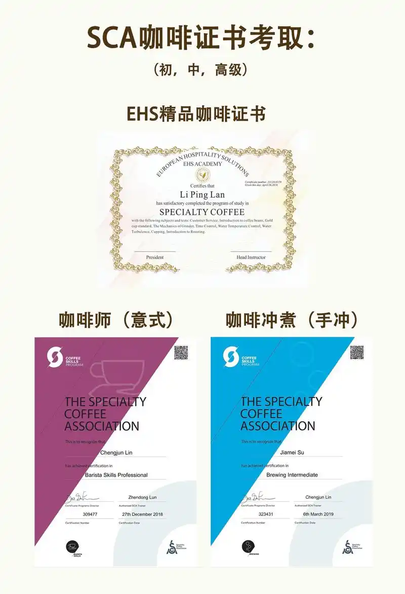 sca咖啡考证课程|精品咖啡课程模块