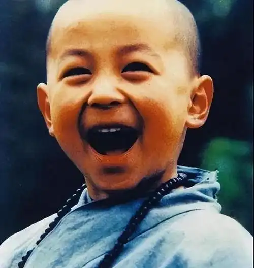 除了在武术方面的卓越表现,释小龙小时候还因可爱的外貌特征而备受