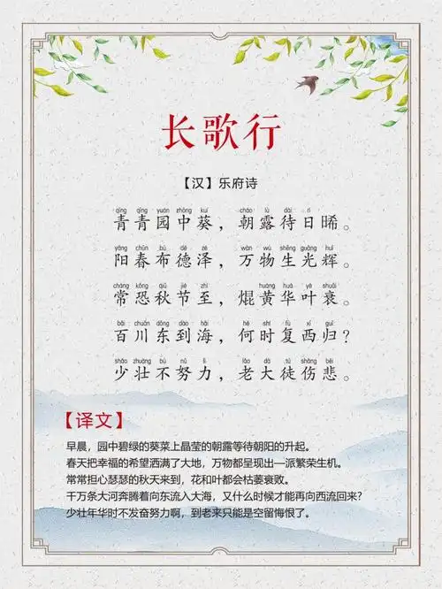 第11集:长歌行(汉·乐府诗)