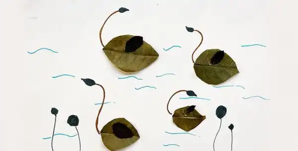 天鹅树叶贴画教程_贴画图片_画画图片大全