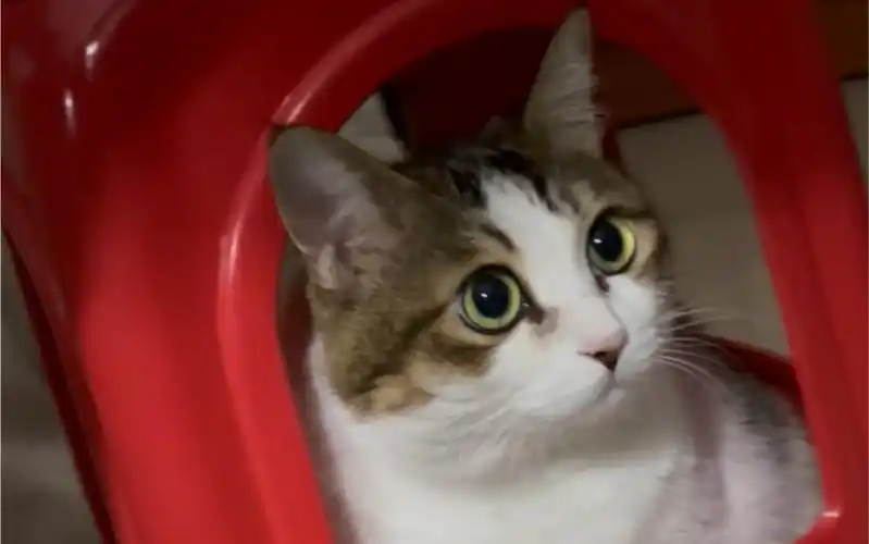 良好的自我管理意识