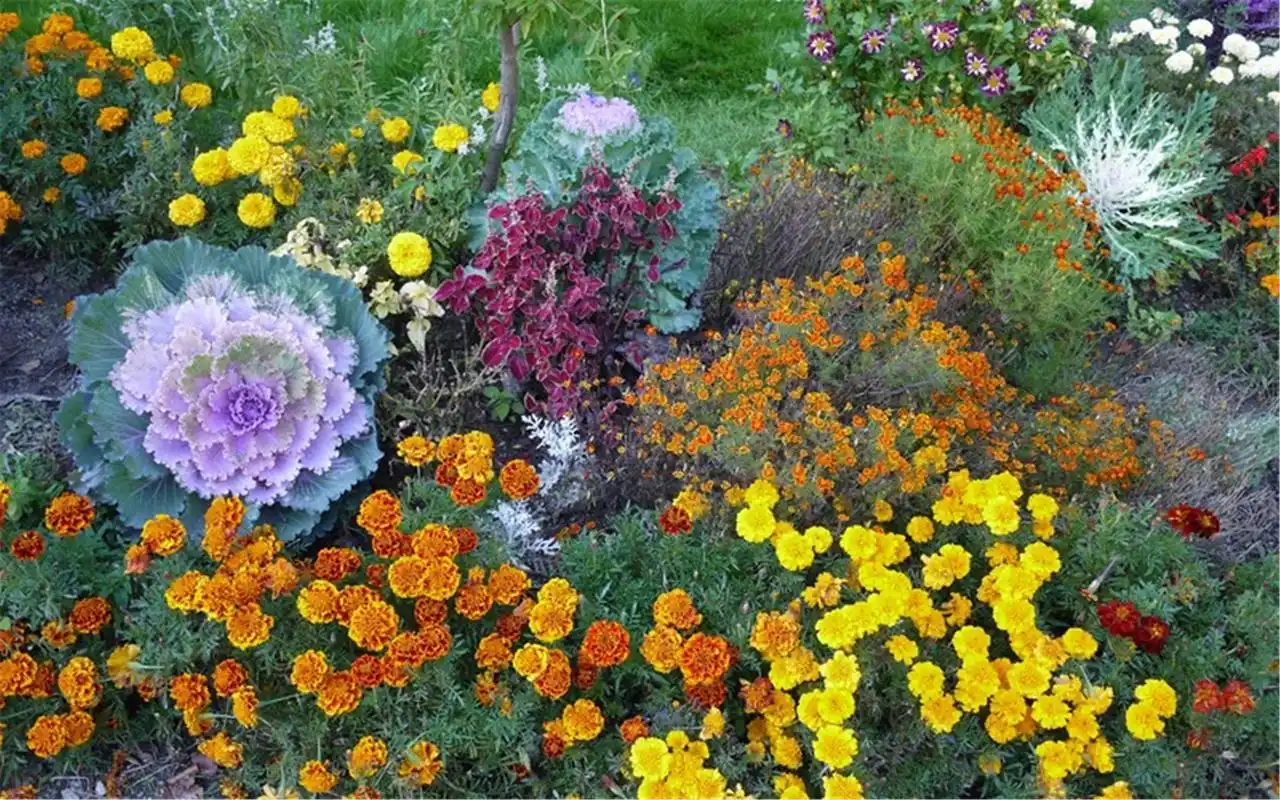 小清新简约花卉好看电脑锁屏背景壁纸