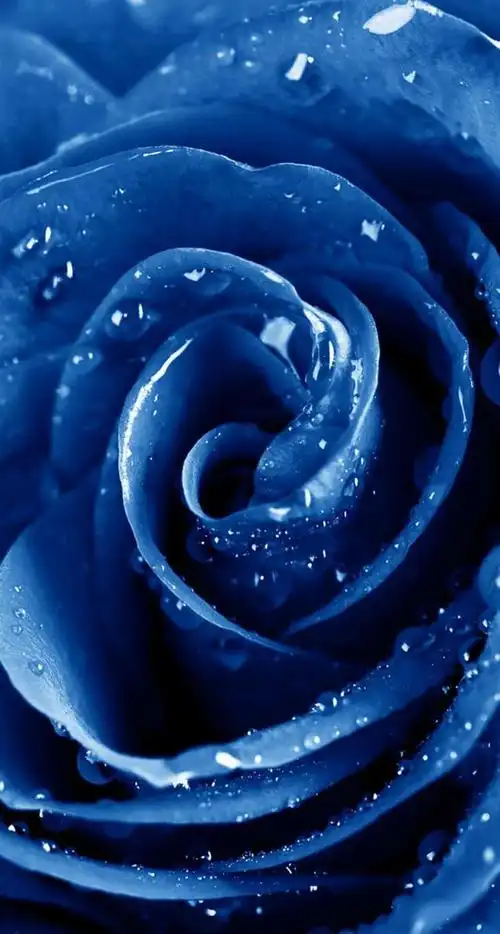 640_1196竖版 竖屏