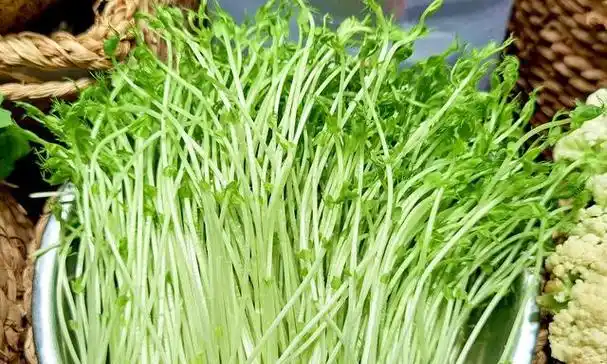 明明是超级蔬菜,却很少人知道!春天不吃亏大发,鲜嫩营养又好吃__财经