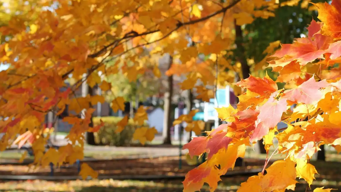 首页 桌面壁纸 风景壁纸 秋季美景摄影图片高清宽屏壁纸上一张 下一张