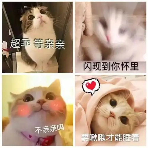 "撩汉"表情包,张张都是绝杀!