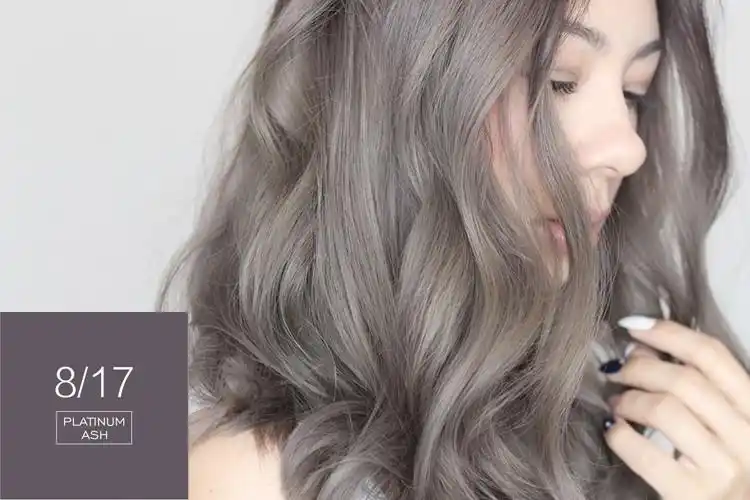 永久染发剂染发厂 2019 灰颜色 - buy 黑灰金色头发,铜灰头发颜色