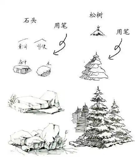教程步骤绘画速写黑白树石头钢笔画