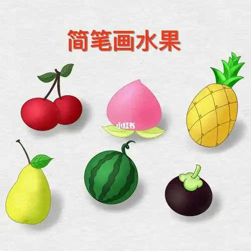 简笔画水果线稿