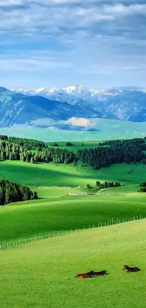 祖国的大好河山,风景美如画_网易订阅