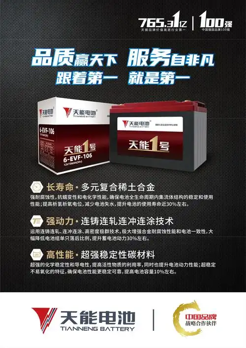天能1号新能源电池长寿命,强动力,高性能,远续航,比普通电池跑的更远