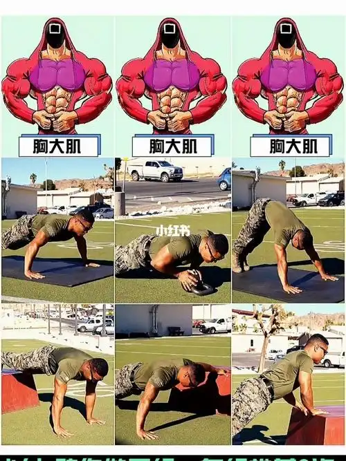 五个全方位徒手胸肌训练动作