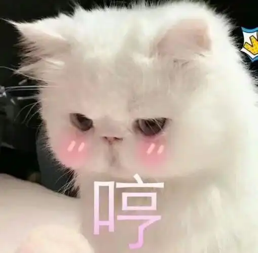 可爱表情包可爱表情包恋爱表情包1评论9更多所有评论你也来说些什么吧