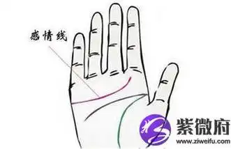 手相图解:感情线上长痣有什么含义?
