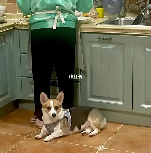 我和老公瞬间蚌埠住了,我婆婆看我们愣住,立刻改口,这儿不这么叫吗,那